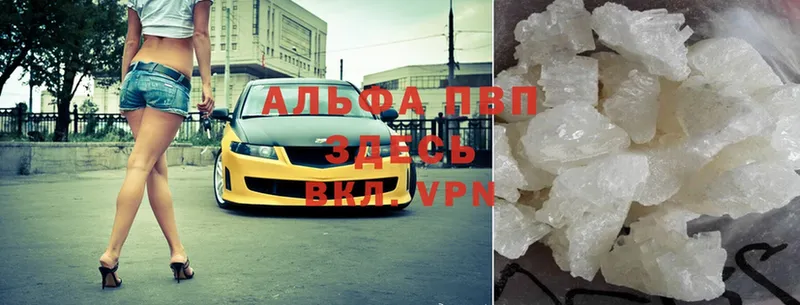 Alfa_PVP СК КРИС  Кизляр 